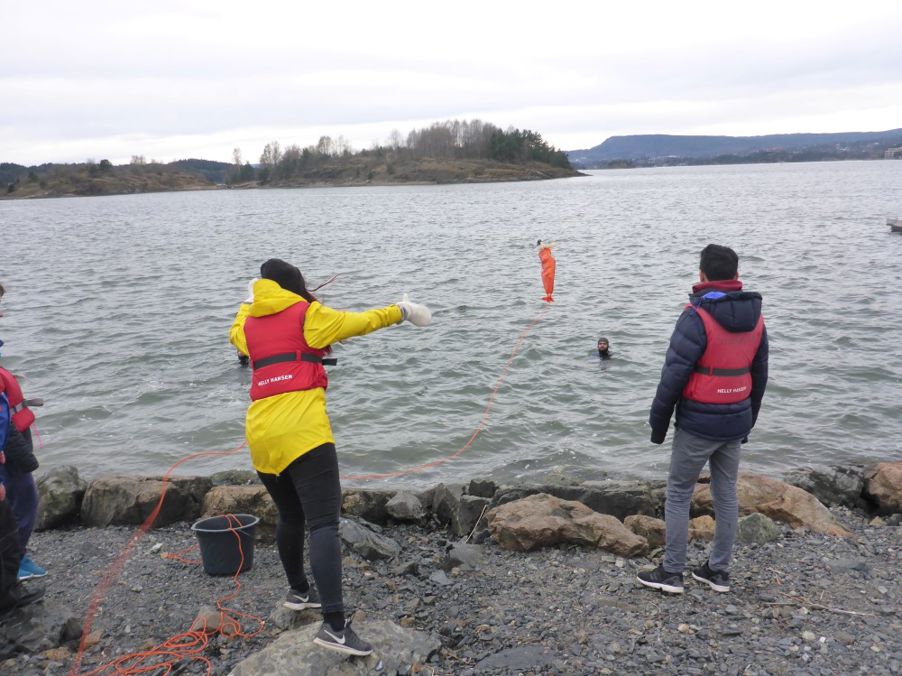 Foto: Kasteline fra land 2017jjp15